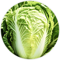 蔬菜种植成熟表